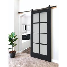 a black and white sliding door next to a potted plant in a living room