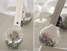 two pictures of glass vases with plants in them and tags attached to the top