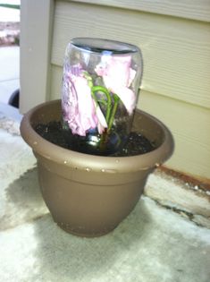 a potted plant with pink flowers in it sitting on the side of a house