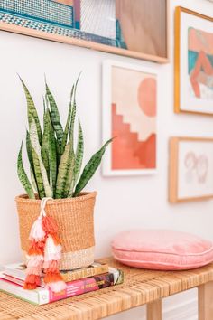 a potted plant sitting on top of a wooden table next to a pink pillow