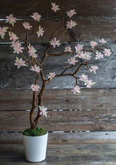 a small tree with pink flowers in a white pot on a wooden table next to a wall