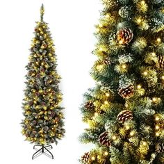 two christmas trees with lights on them next to each other