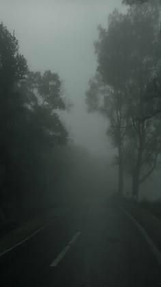 an empty road with trees on both sides in the fog