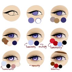 the different types of eyes and their corresponding colors are shown in this diagram, which shows how