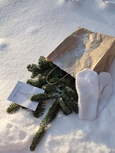 a paper bag and gloves laying in the snow