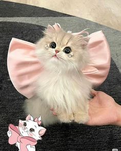 a small kitten wearing a pink bow around its neck sitting on someone's hand