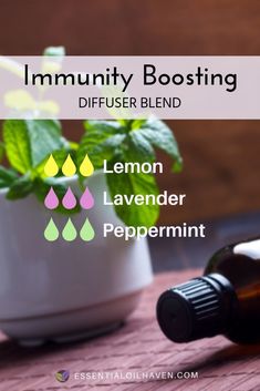 7 Essential Oils that Boost Your Immune System - PLUS Diffuser Recipes! Essential Oil Combinations, Doterra Essential Oils Recipes