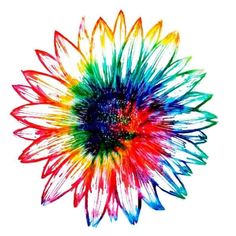 a multicolored sunflower on a white background