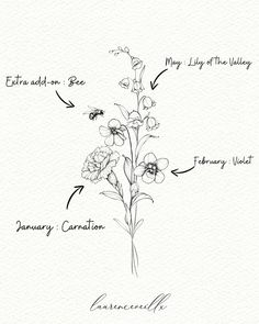 a drawing of flowers with the names of each flower and their corresponding parts on it