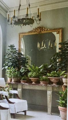 there are many potted plants on the table in this room with a mirror and chandelier