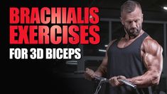 Explore the top brachialis exercises to strengthen your arm muscles. Learn how to achieve bigger and more defined arms with our comprehensive workout guide Defined Arms, Reverse Curls, Biceps Brachii, Forearm Muscles, Dumbbell Curls, Preacher Curls, Big Biceps, Arm Workouts, Muscle Contraction