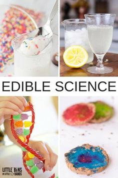 the collage shows different types of edible science