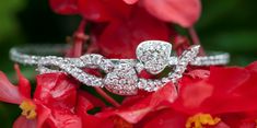 We are so honored to be sponsoring the silent auction for the 8th year for Tulips for Lauri on July 26th. This stunning diamond bracelet will go to the lucky winner. ✨ Register today, purchase your raffle ticket and this beauty can be yours! Raffle Ticket, Raffle Tickets, Silent Auction, Diamond Bracelet, Tulips, Heart Ring, Foundation, Auction