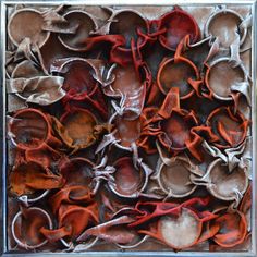 an assortment of red and brown objects in a metal box