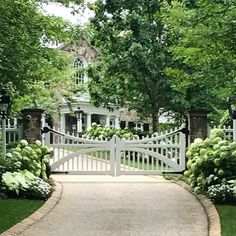 an image of a white gate in the middle of a driveway with hydrangeas around it