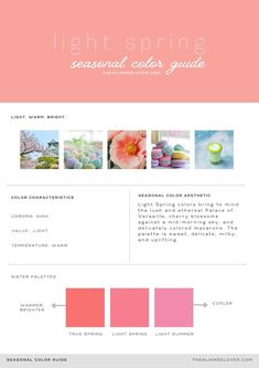 Spring Seasonal Color Palette, Spring Skin Tone, Light Spring Palette, Light Spring Color Palette, Seasonal Color Palette, Spring Skin, Colored Shadow, Light Spring Colors, Spring Fragrances