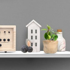 a shelf with various items on it and a house plant in the middle, along with other things