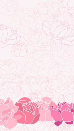 pink flowers on a white background with space for text