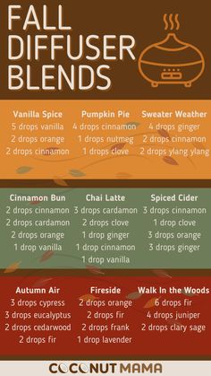 Doterra Pumpkin Spice Blend, Chai Diffuser Blend, Fall Blends For Diffuser, Get Ready For Autumn, Pumpkin Diffuser Blend, Seasonal Essential Oil Blends, Pumpkin Spice Diffuser Blend, Fall Diffuser Recipes, Pumpkin Spice Essential Oil Blend