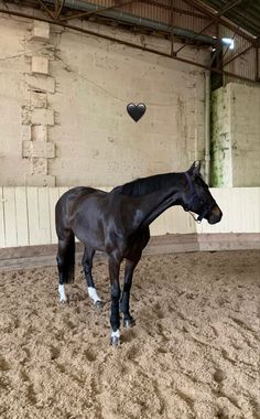 a brown horse standing inside of a building next to a heart shaped object in the air