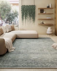 a living room with a couch, rug and shelves on the wall next to it