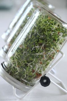 a jar filled with sprouts sitting on top of a table