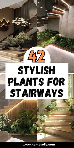 some stairs and plants with the words 42 stylish plants for stairways