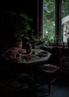 a table with some plants and other items on it in front of a window at night