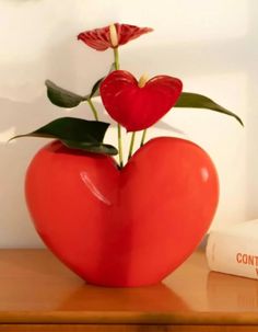 a heart shaped vase with two flowers in it