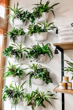 a wall mounted planter filled with lots of green plants