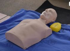 How To Perform Cpr, Career Progression, First Aid Cpr, Emergency First Aid, Online Doctor, Life Support