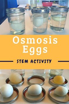 Biology Activities High School, Egg Experiment, Chemistry Experiments For Kids, School Science Experiments, Egg Experiments, Biology Activity