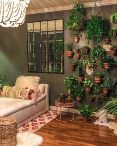 a living room filled with lots of potted plants next to a wall mounted planter