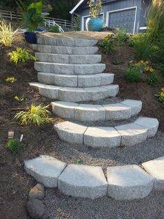 there is a set of stone steps in the yard