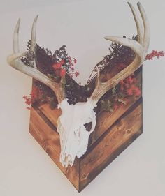 a deer's skull with antlers and flowers is mounted on a wooden box