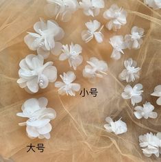 several white flowers are placed on a piece of organe fabric with chinese characters in the background