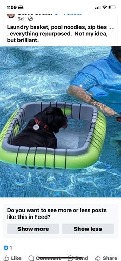 a dog in an inflatable pool with the caption laundry basket, pool noodles, zip ties better than repurposed not my idea