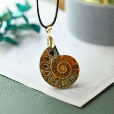 Marine Jewelry, Fossil Shell, Ammonite Shell, Fossil Ring, Nautical Necklace, Earrings Real, Jewellery Packaging, Ammonite Fossil, Opal Earrings Stud