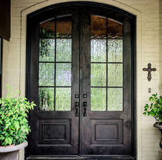 a black double door with two potted plants on either side and one green plant in front