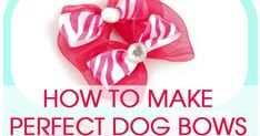 how to make perfect dog bows for small dogs with pictures on it and text overlay