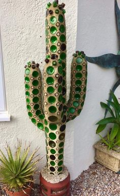 a green cactus with lots of holes in it's body and two potted plants next to it