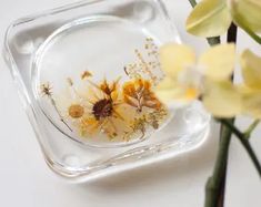 a vase with flowers in it sitting next to a glass container filled with water and dirt