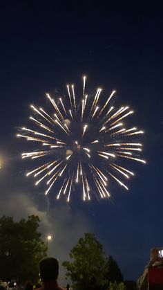 fireworks are lit up in the night sky