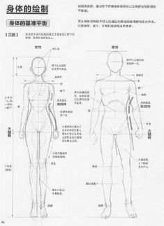 an outline drawing of a man's body and torso, with chinese characters in the background