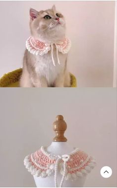 a cat sitting on top of a mannequin wearing a pink and white collar