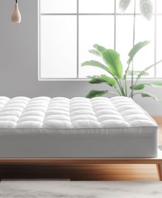 a white mattress sitting on top of a wooden floor next to a plant in a room