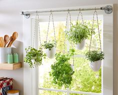 several hanging plants in pots on a window sill with utensils and other kitchen accessories