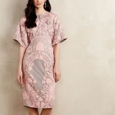 Beautiful Embroidered Pink Midi Dress From Anthropologie. Never Worn W Tag Still Attached. Light Pink On Dusty Warm Grey Tone. Kimono Style Sleeved Festive Feminine Dress With Floral Embroidery, Elegant Floral Embroidered Midi Dress For Festive Occasions, Elegant Floral Embroidery Midi Dress For Festive Occasions, Feminine Fitted Dress For Festive Occasions, Fitted Feminine Dresses For Festive Occasions, Elegant Festive Midi Dress With Floral Embroidery, Elegant Pink Midi Dress With Floral Embroidery, Feminine Spring Dress With Resham Embroidery, Elegant Fitted Dress With Resham Embroidery