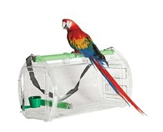 a colorful parrot sitting on top of a plastic bird cage with green handles and straps