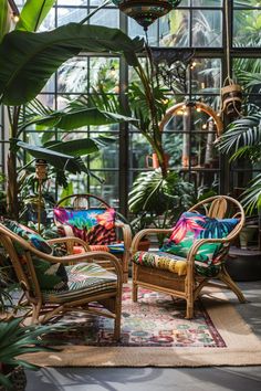 two wicker chairs with colorful cushions in a greenhouse